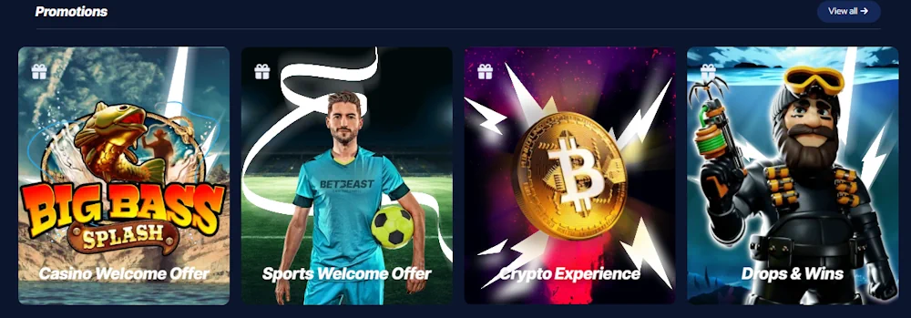 BetBeast Casino Promotions